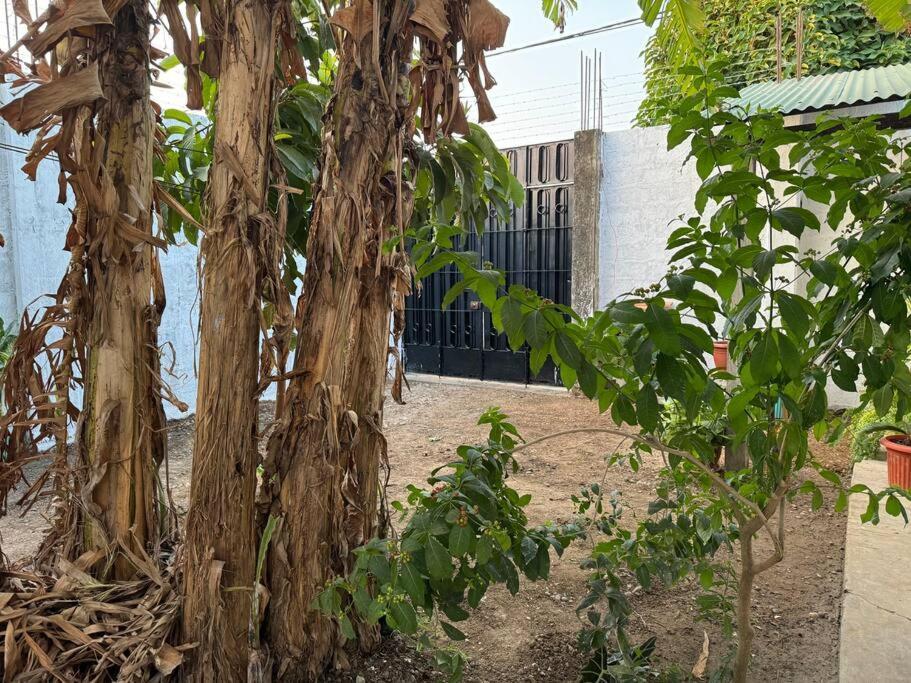 Casa Privada Con Terraza Villa Puerto Maldonado Dış mekan fotoğraf